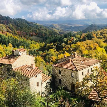 Bio Agriturismo Il Vigno 카프라스미켈란젤로 외부 사진