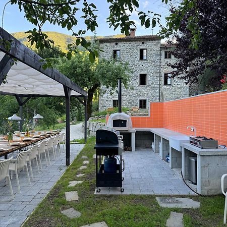 Bio Agriturismo Il Vigno 카프라스미켈란젤로 외부 사진