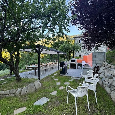Bio Agriturismo Il Vigno 카프라스미켈란젤로 외부 사진