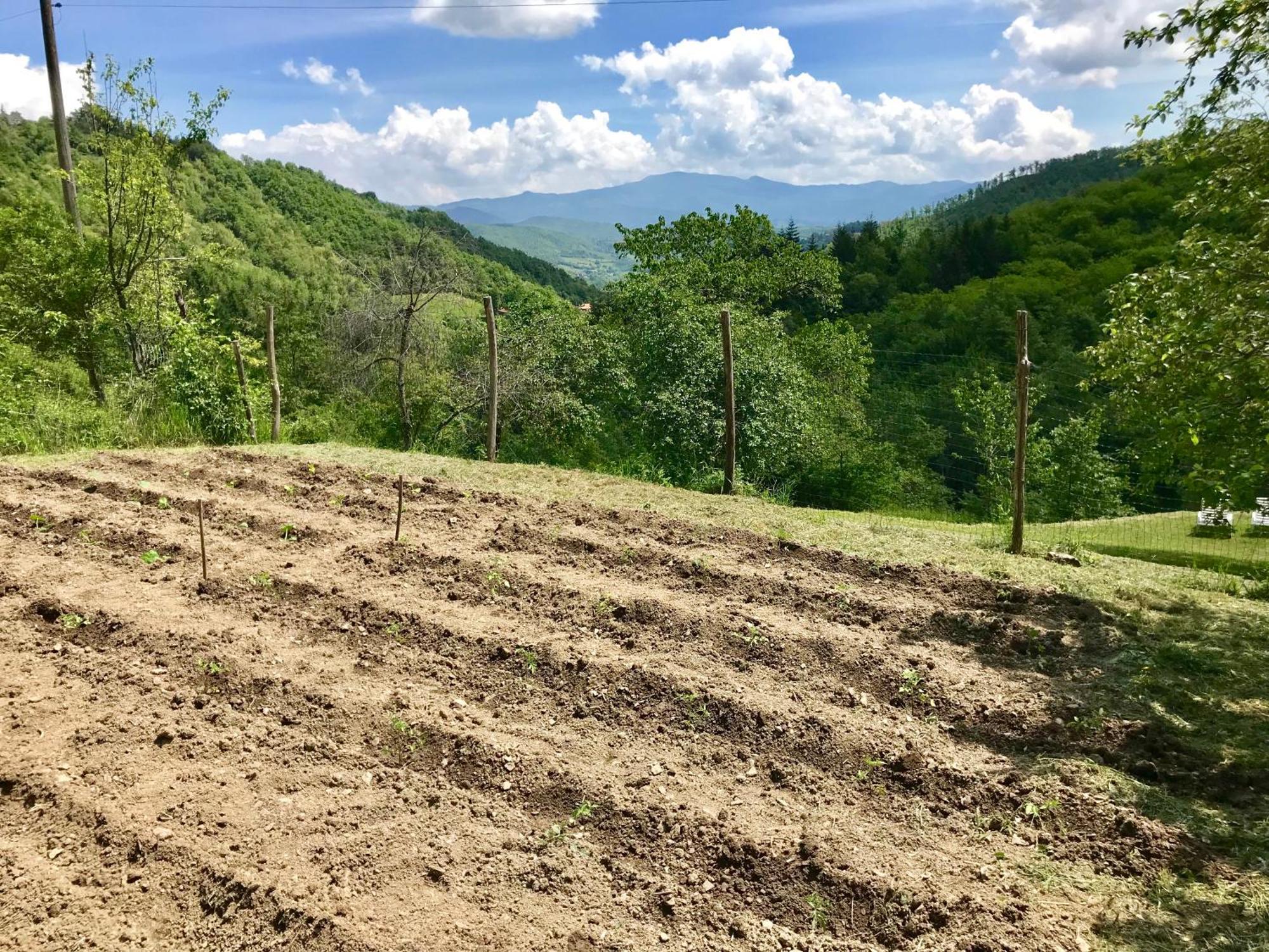 Bio Agriturismo Il Vigno 카프라스미켈란젤로 외부 사진
