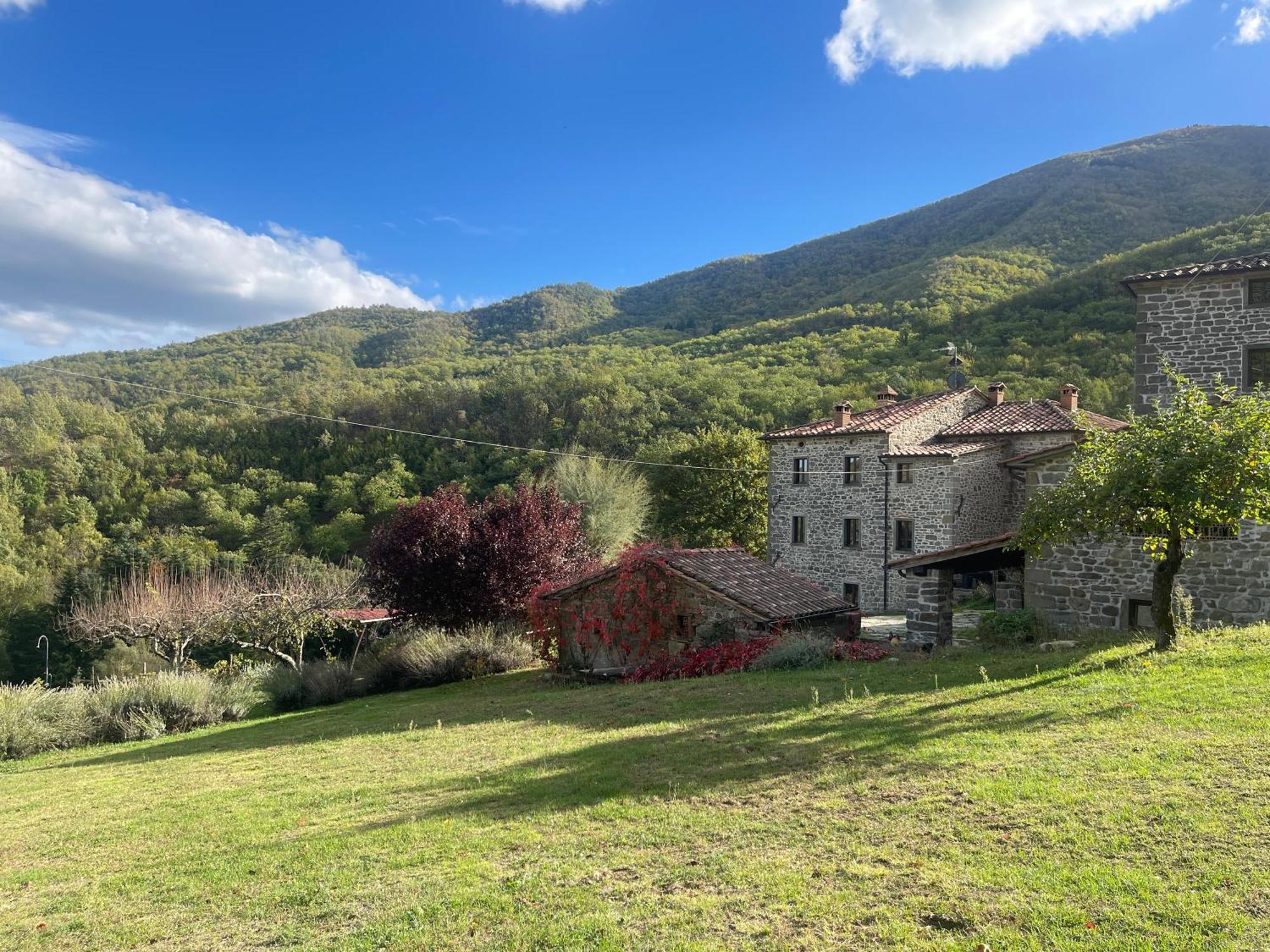 Bio Agriturismo Il Vigno 카프라스미켈란젤로 외부 사진