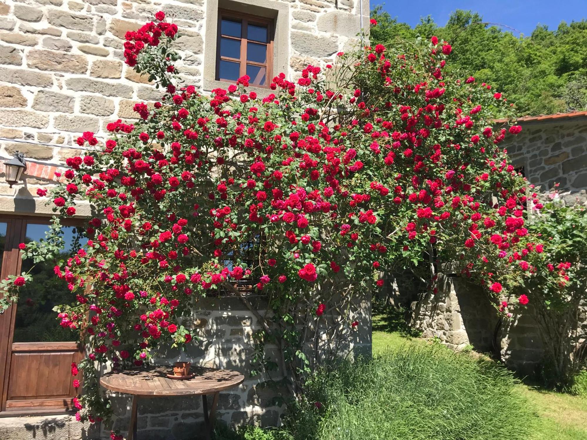 Bio Agriturismo Il Vigno 카프라스미켈란젤로 외부 사진