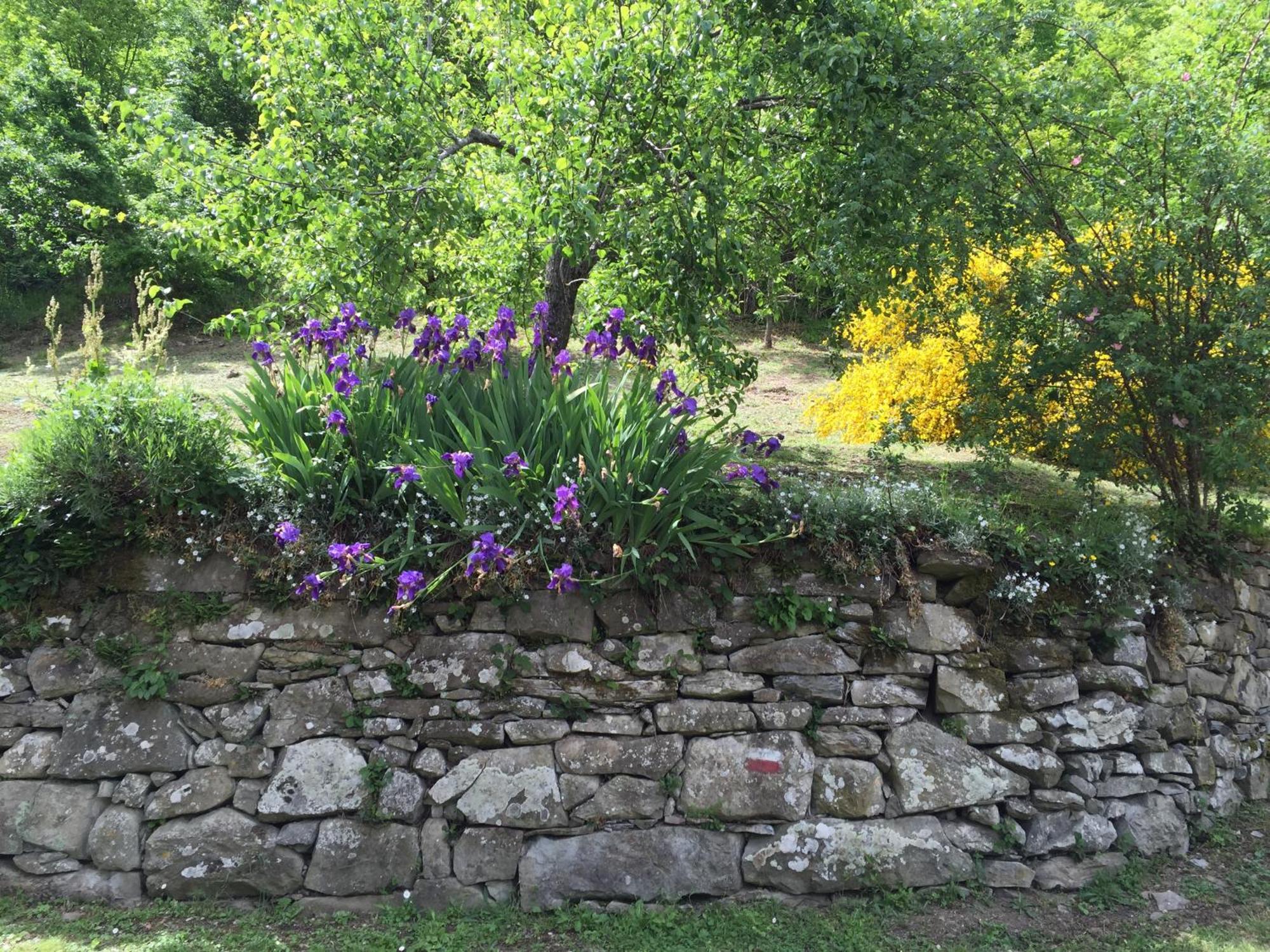 Bio Agriturismo Il Vigno 카프라스미켈란젤로 외부 사진