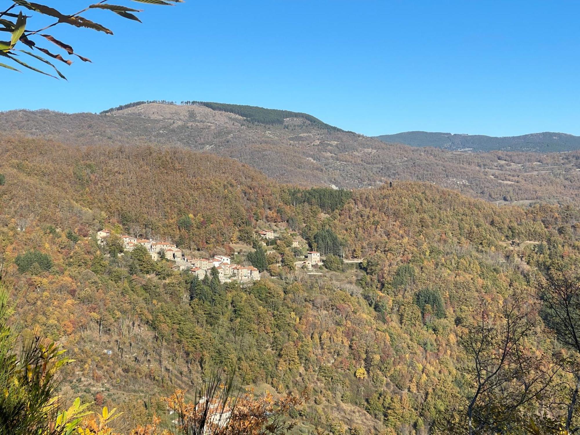 Bio Agriturismo Il Vigno 카프라스미켈란젤로 외부 사진