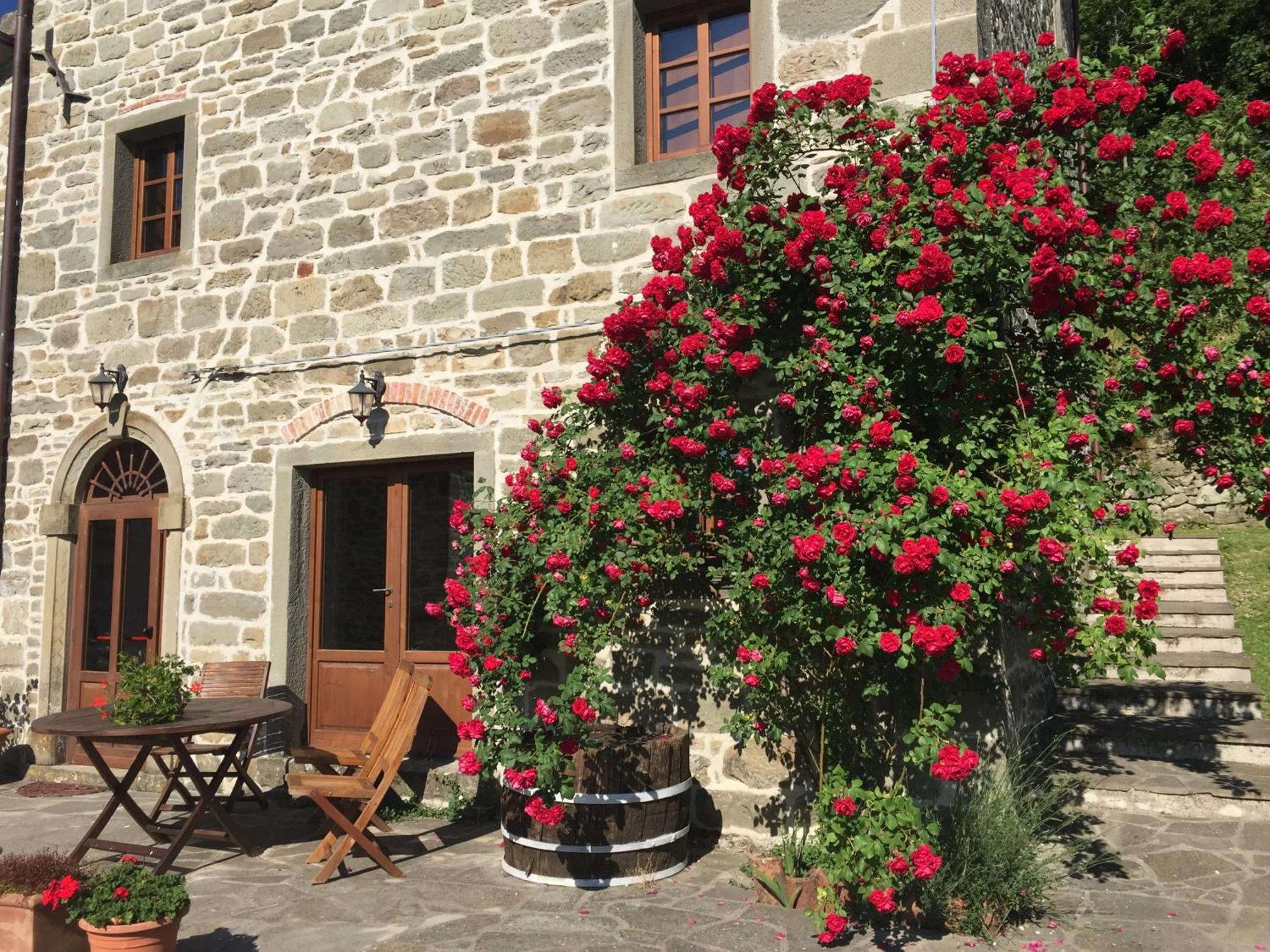 Bio Agriturismo Il Vigno 카프라스미켈란젤로 외부 사진