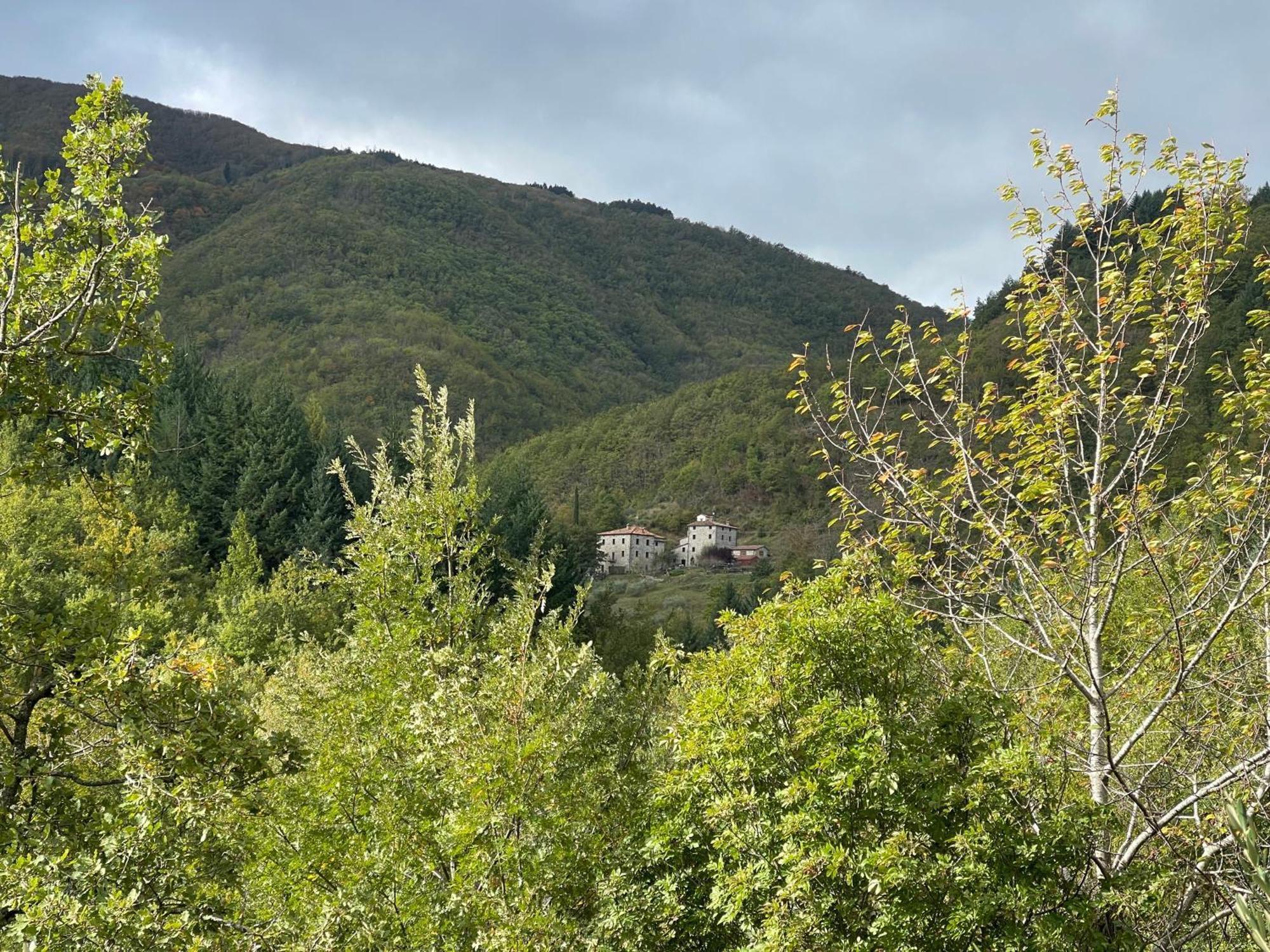 Bio Agriturismo Il Vigno 카프라스미켈란젤로 외부 사진