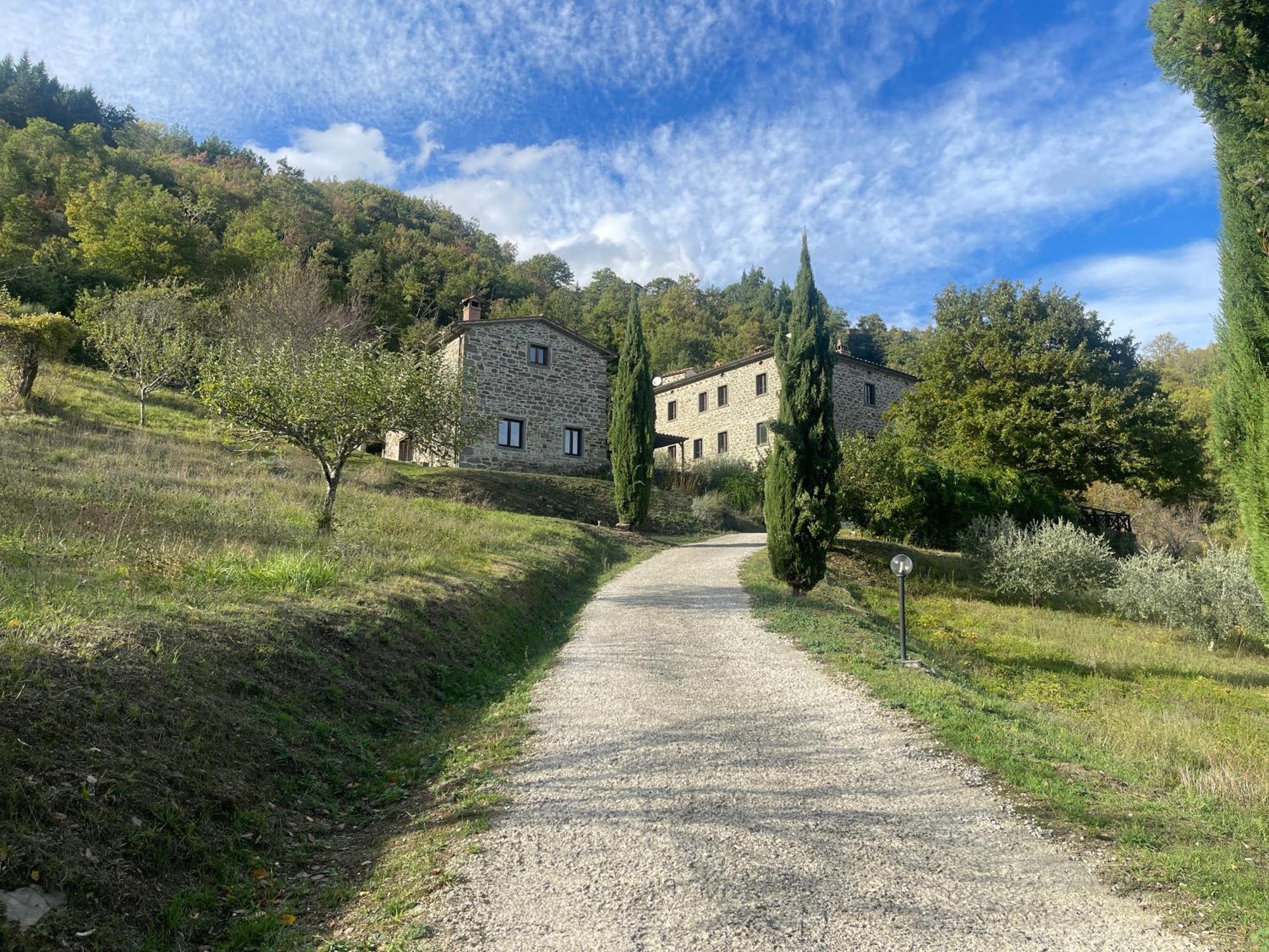 Bio Agriturismo Il Vigno 카프라스미켈란젤로 외부 사진