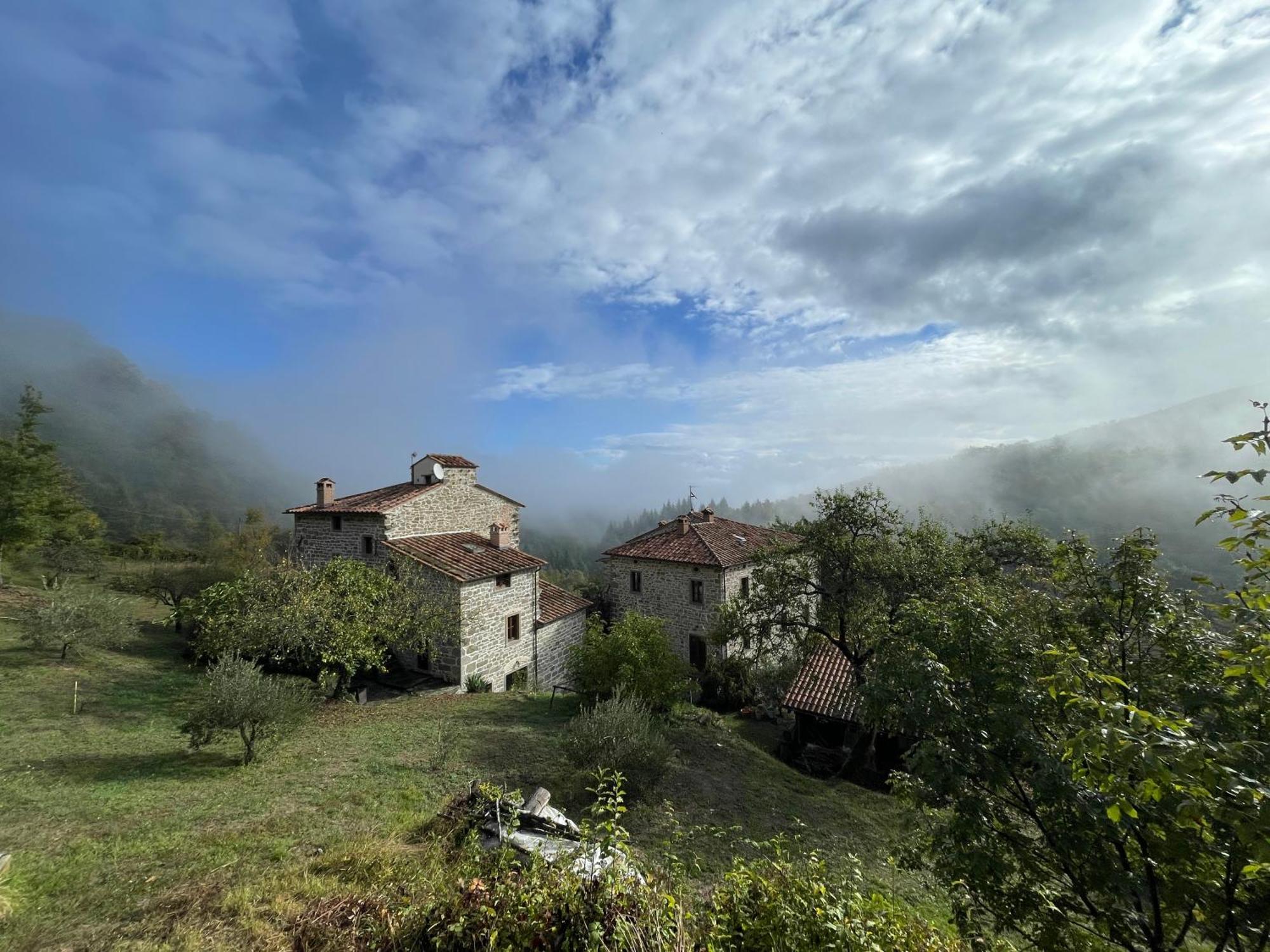 Bio Agriturismo Il Vigno 카프라스미켈란젤로 외부 사진