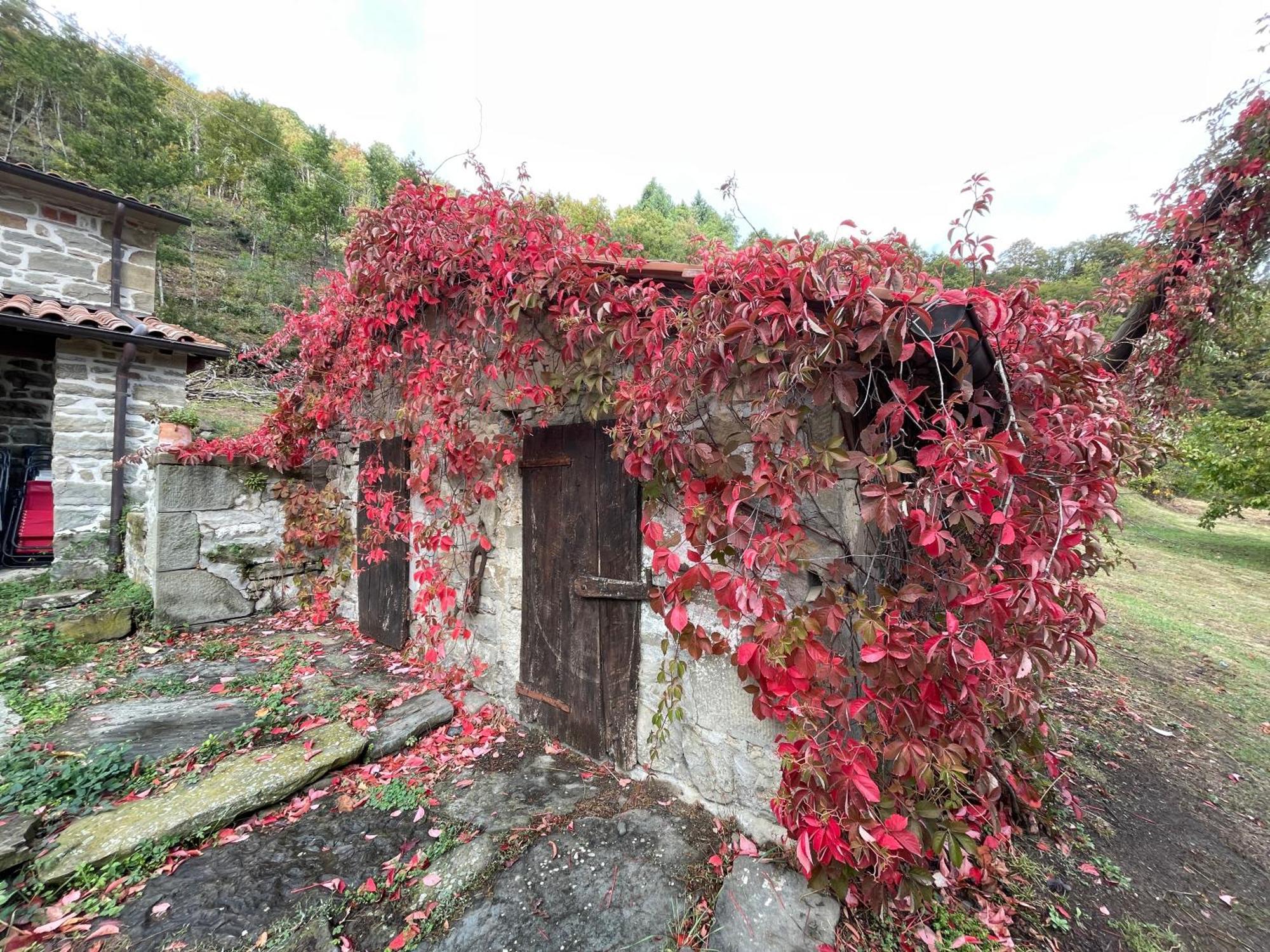 Bio Agriturismo Il Vigno 카프라스미켈란젤로 외부 사진